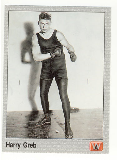 All World AW Boxing Cards - Complete 1991 Factory Issued Box Set of 149 Cards