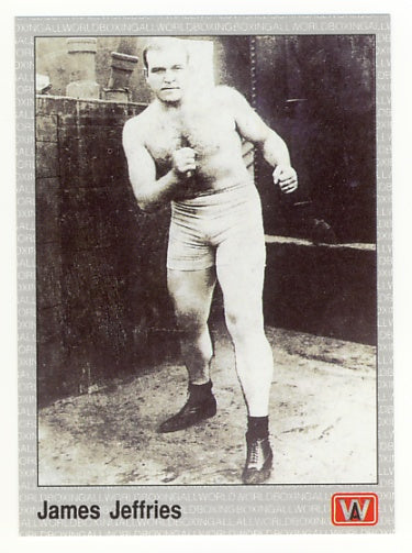 All World AW Boxing Cards - Complete 1991 Factory Issued Box Set of 149 Cards