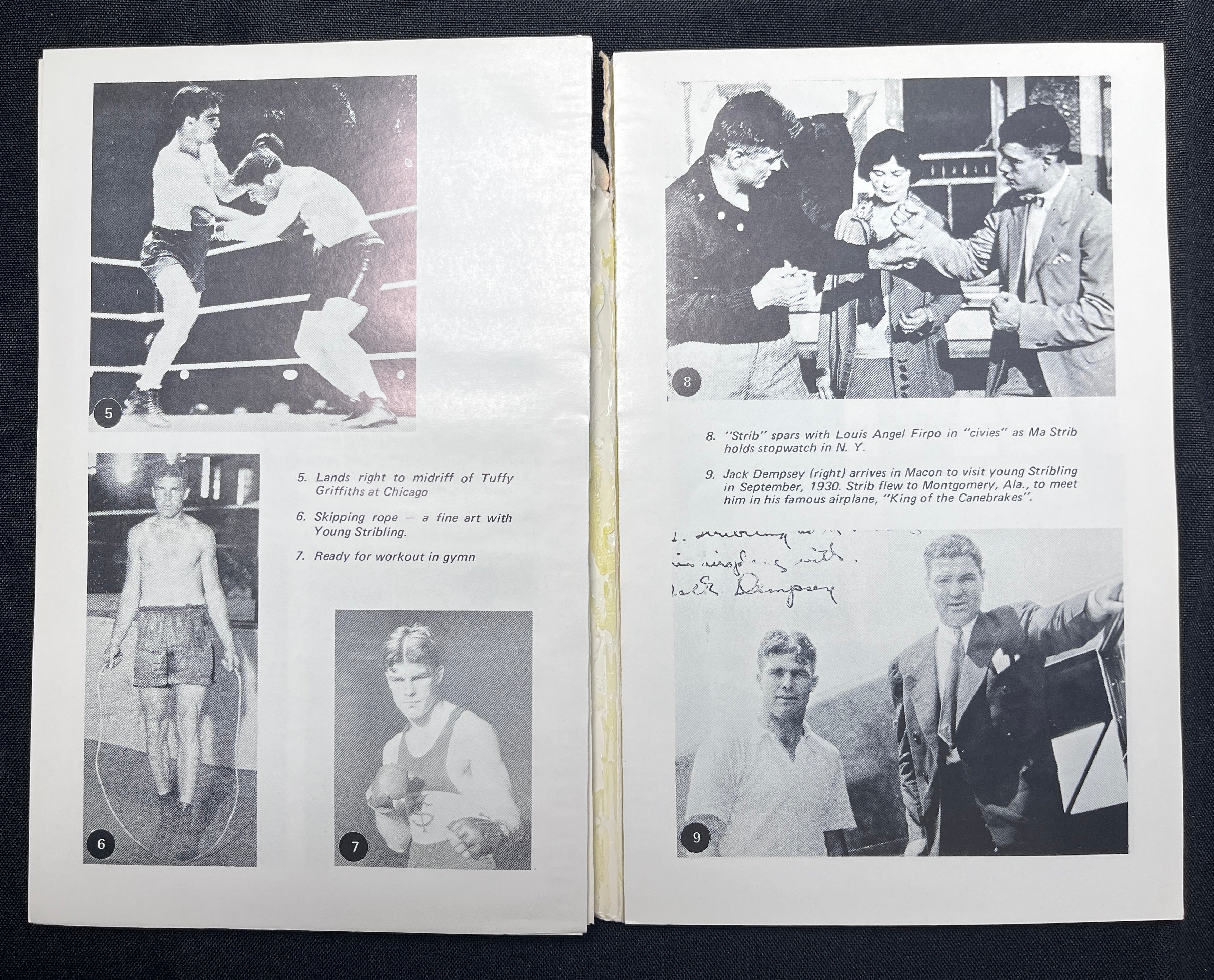 King Of The Canebakes : Biography of W.L. Young Stribling - 1969 Edition Boxing Book Signed by Author - Paperback