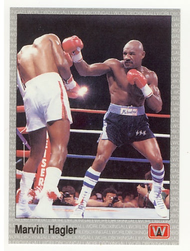 All World AW Boxing Cards - Complete 1991 Factory Issued Box Set of 149 Cards