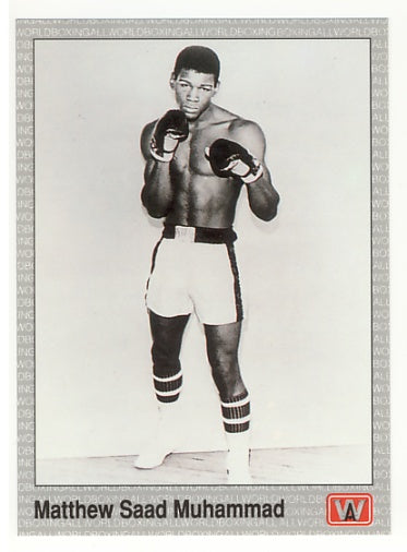 All World AW Boxing Cards - Complete 1991 Factory Issued Box Set of 149 Cards