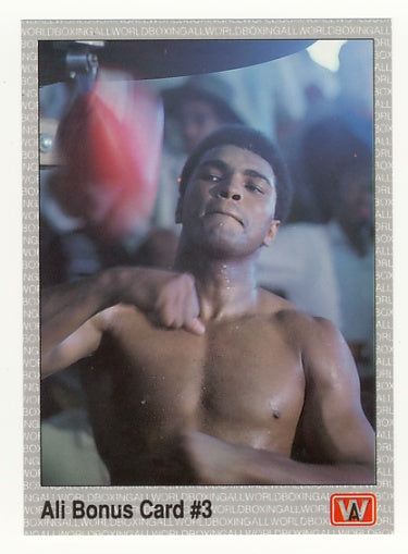 All World AW Boxing Cards - Complete 1991 Factory Issued Box Set of 149 Cards