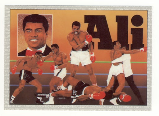 All World AW Boxing Cards - Complete 1991 Factory Issued Box Set of 149 Cards