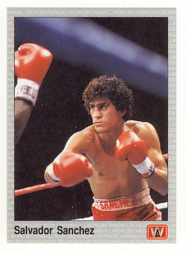 All World AW Boxing Cards - Complete 1991 Factory Issued Box Set of 149 Cards