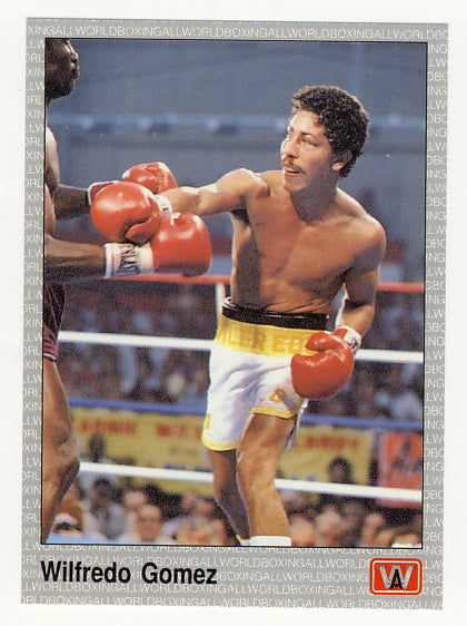 All World AW Boxing Cards - Complete 1991 Factory Issued Box Set of 149 Cards