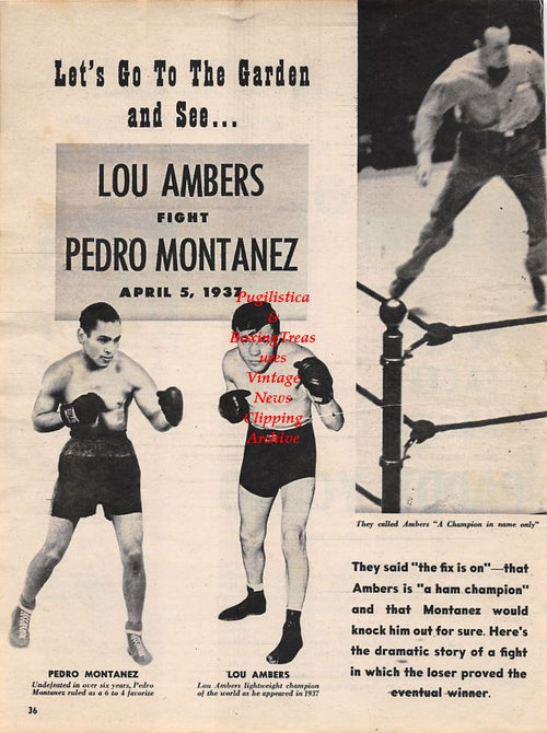 Boxing News Clipping #1269 - Paddy Young, Lou Ambers, Pedro Montanez