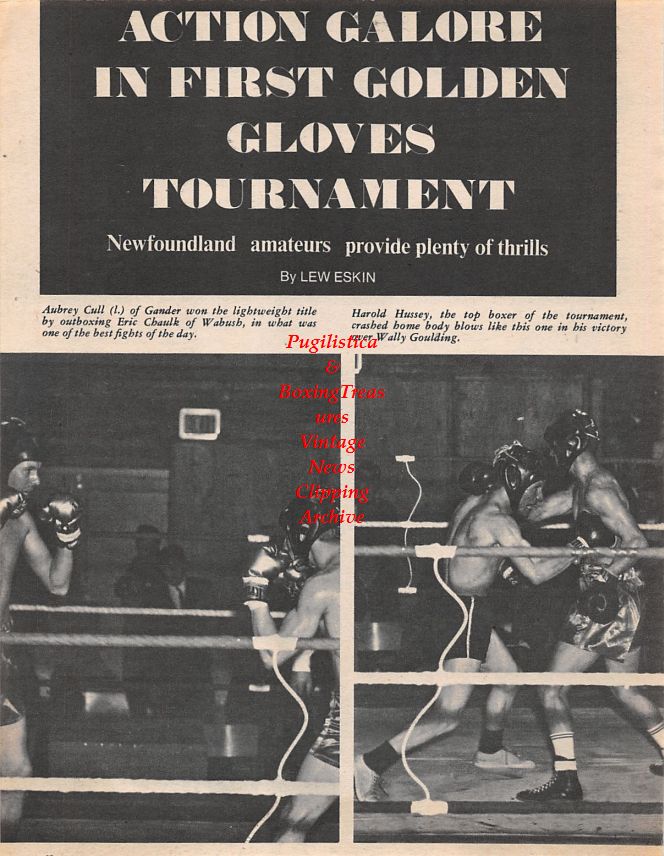 Boxing News Clipping #1452 - Paul Berlenbach, Aubrey Cull vs. Eric Chaulk, Harold Hussey vs. Wally Goulding