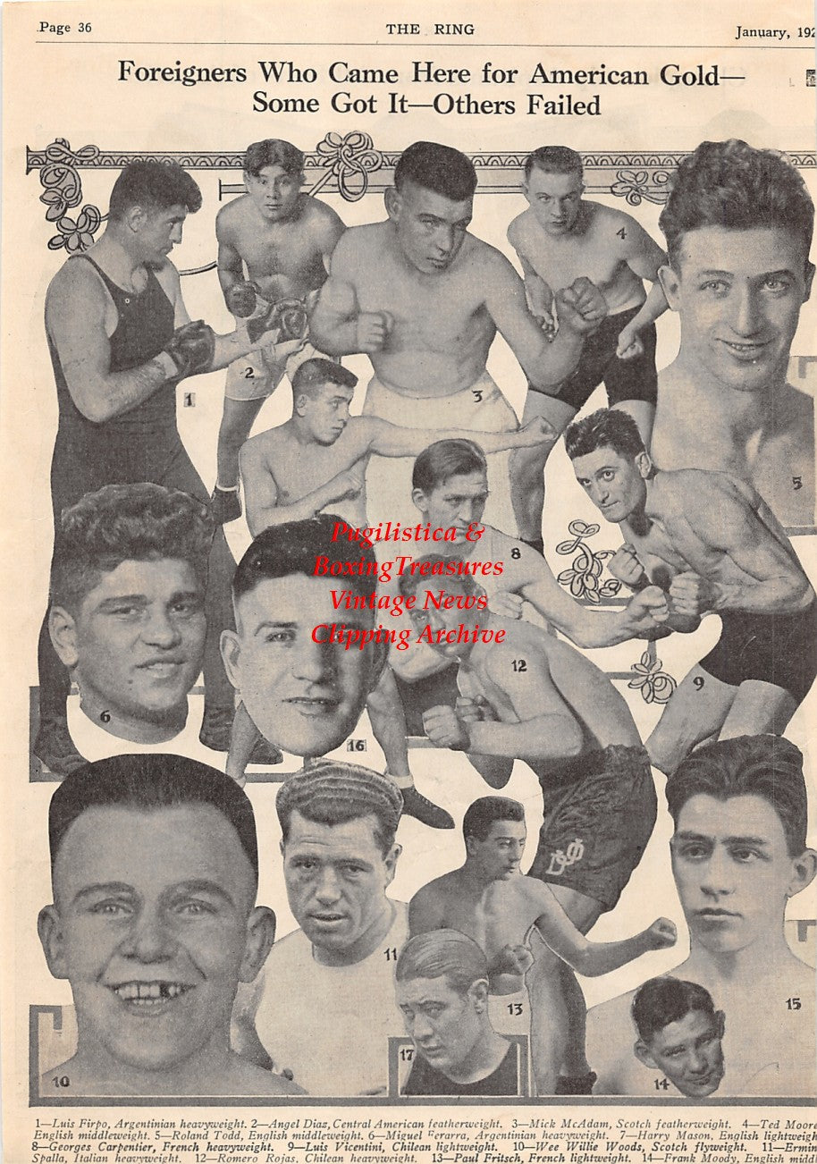Boxing News Clipping #1538 - Ted Jamieson, Jack Renault, Dave Shade, Ad Stone, Harry Martone, Jack Reddick, Harry Galfund, Vic Brog, Jimmy Goodrich, Ray Neuman, Charley Weinert, Angel Diaz, Mick McAdams, Ted Moore, Roland Todd, Erminio Spalla and others