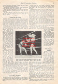 Boxing News Clipping #1748 - Frankie Campbell vs. Max Baer