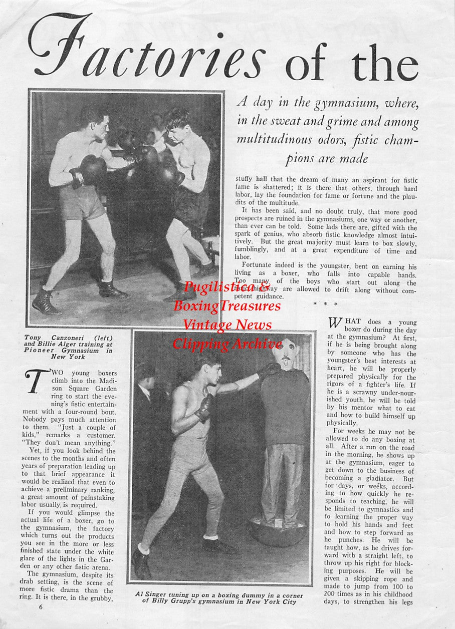 Boxing News Clipping #1864 - Tony Canzoneri, Billy Alger, Al Singer, Young Stribling, Max Schmeling