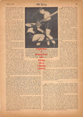 Boxing News Clipping #187 - Lee Savold vs. Jack Marshall