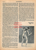 Boxing News Clipping #1955 - Young Stribling, Earle E. Liederman