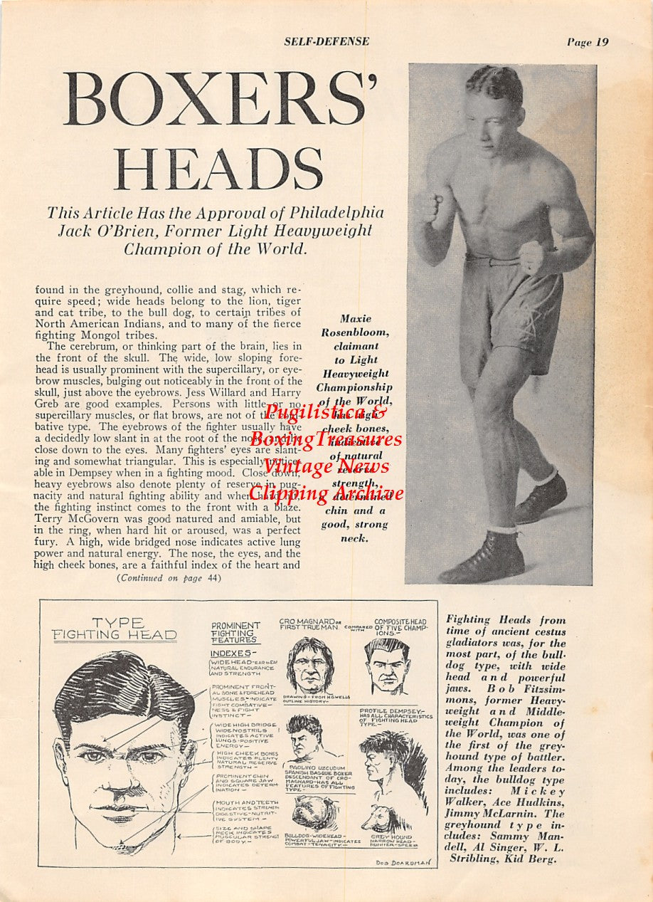 Boxing News Clipping #2012 - Panama Al Brown, Jack Sharkey, Maxie Rosenbloom