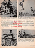 Boxing News Clipping #2168 - Jack Dempsey vs. Jess Willard