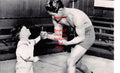Boxing Photo #05 - Clever Sencio