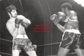 Boxing Photo #1096 - John O'Neill vs. Lenny Remice