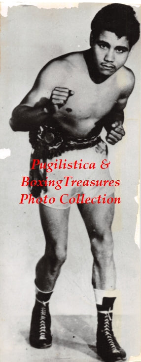 Boxing Photo #1185 - Raul Macias