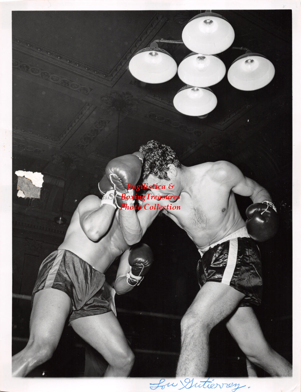 Boxing Photo #1207 - Luis Gutierrez