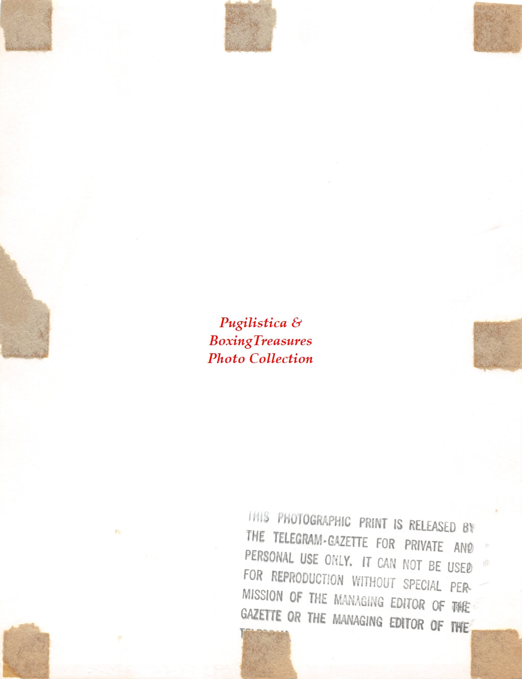 Boxing Photo #1207 - Luis Gutierrez