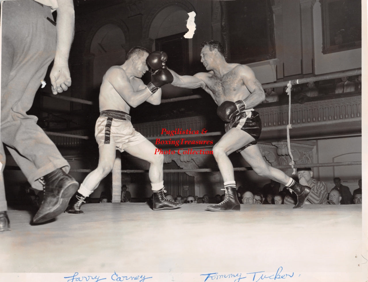 Boxing Photo #1208 - Larry Carney vs. Tom Tucker - Worcester, MA