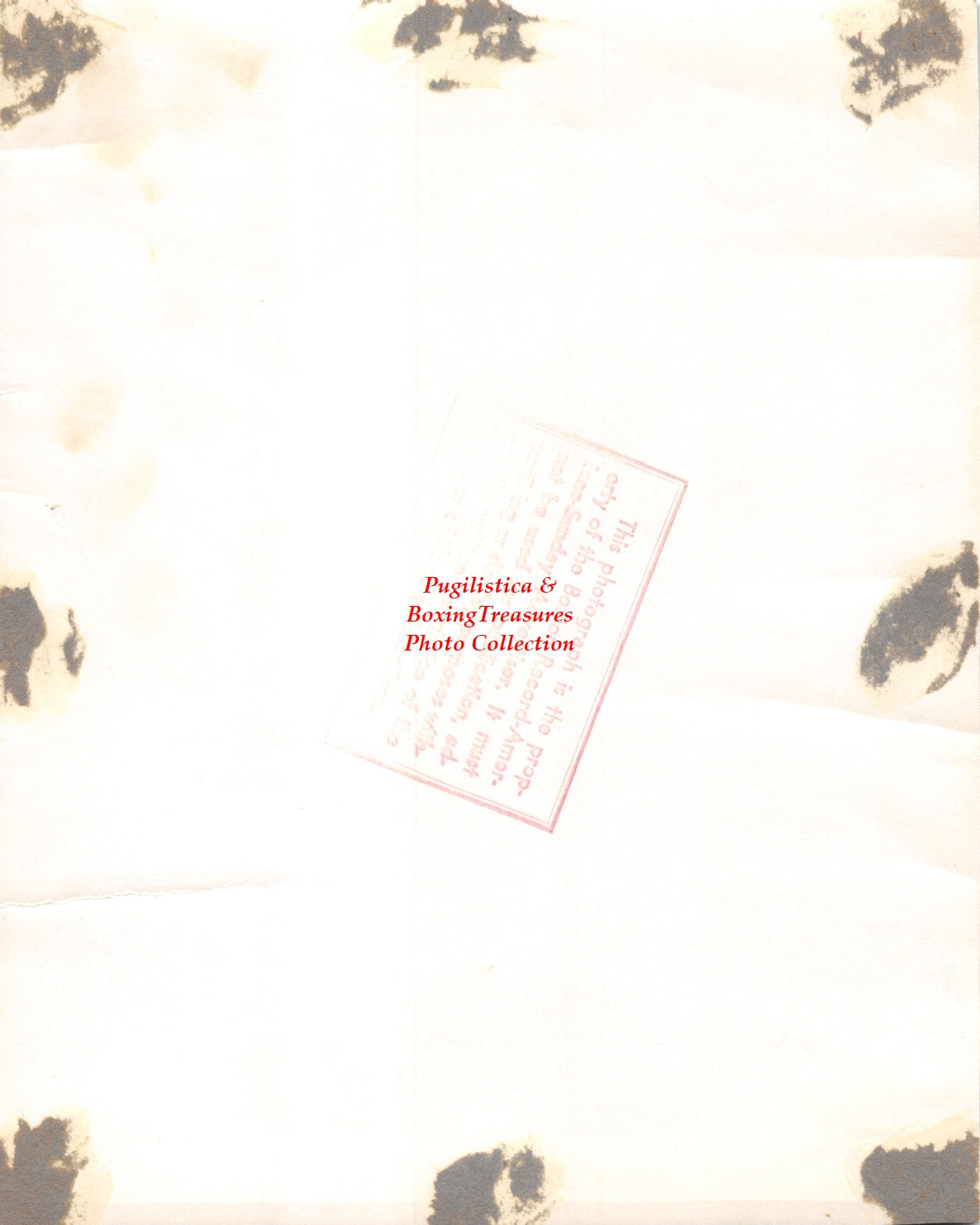 Boxing Photo #1219 - Joe Rindone