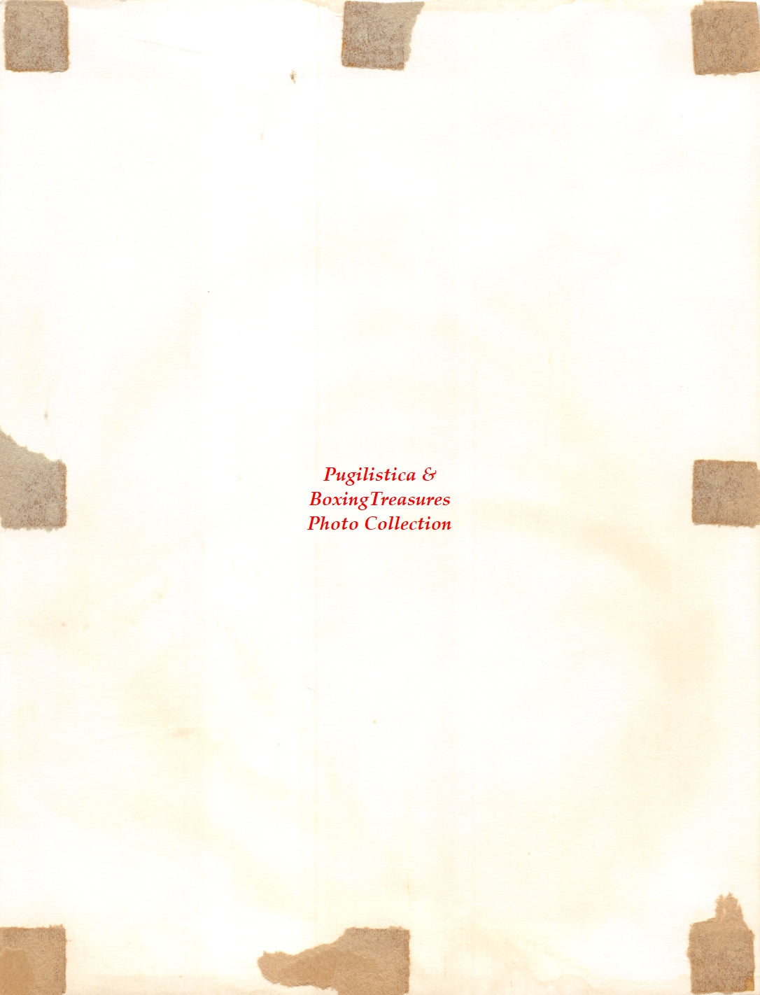 Boxing Photo #1221 - Arnie Brower vs. Ted Williams