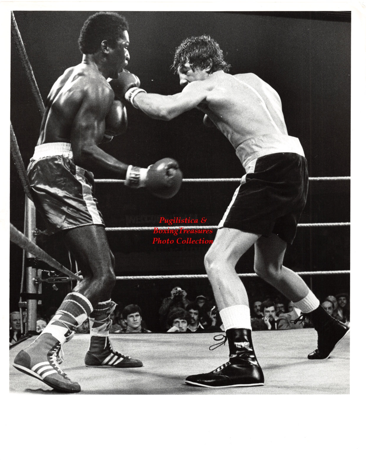 Boxing Photo #1225 - Jimmy Corkum vs. Al Hughes - Springfield, MA