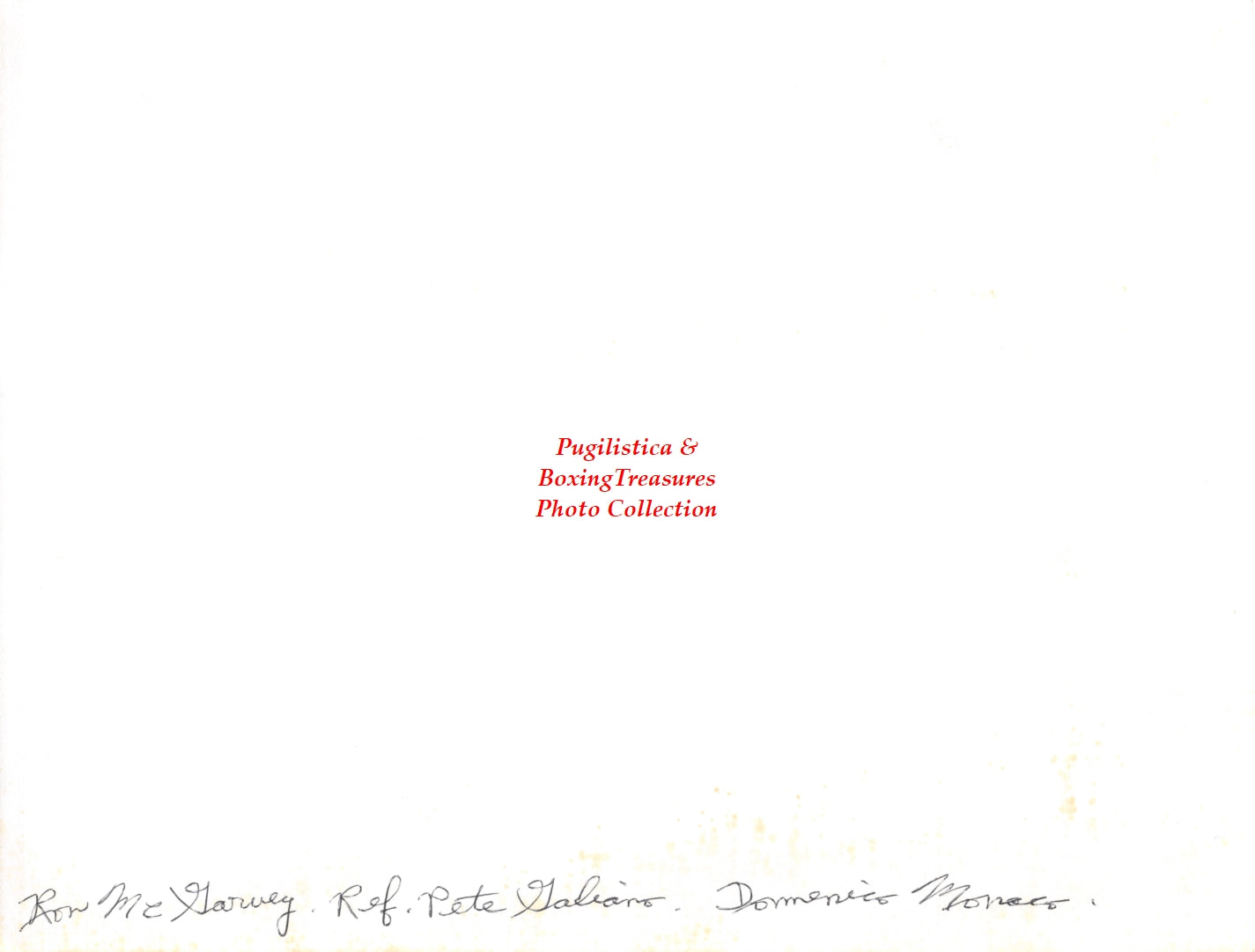 Boxing Photo #1226 - Ron McGarvey vs. Domenic Monaco, referee Pete Galiano