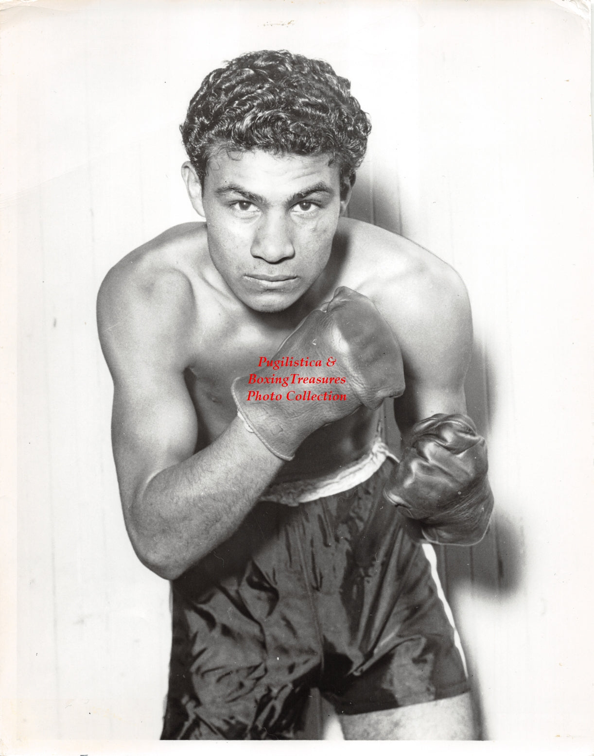 Boxing Photo #1228 - Bobby Castro
