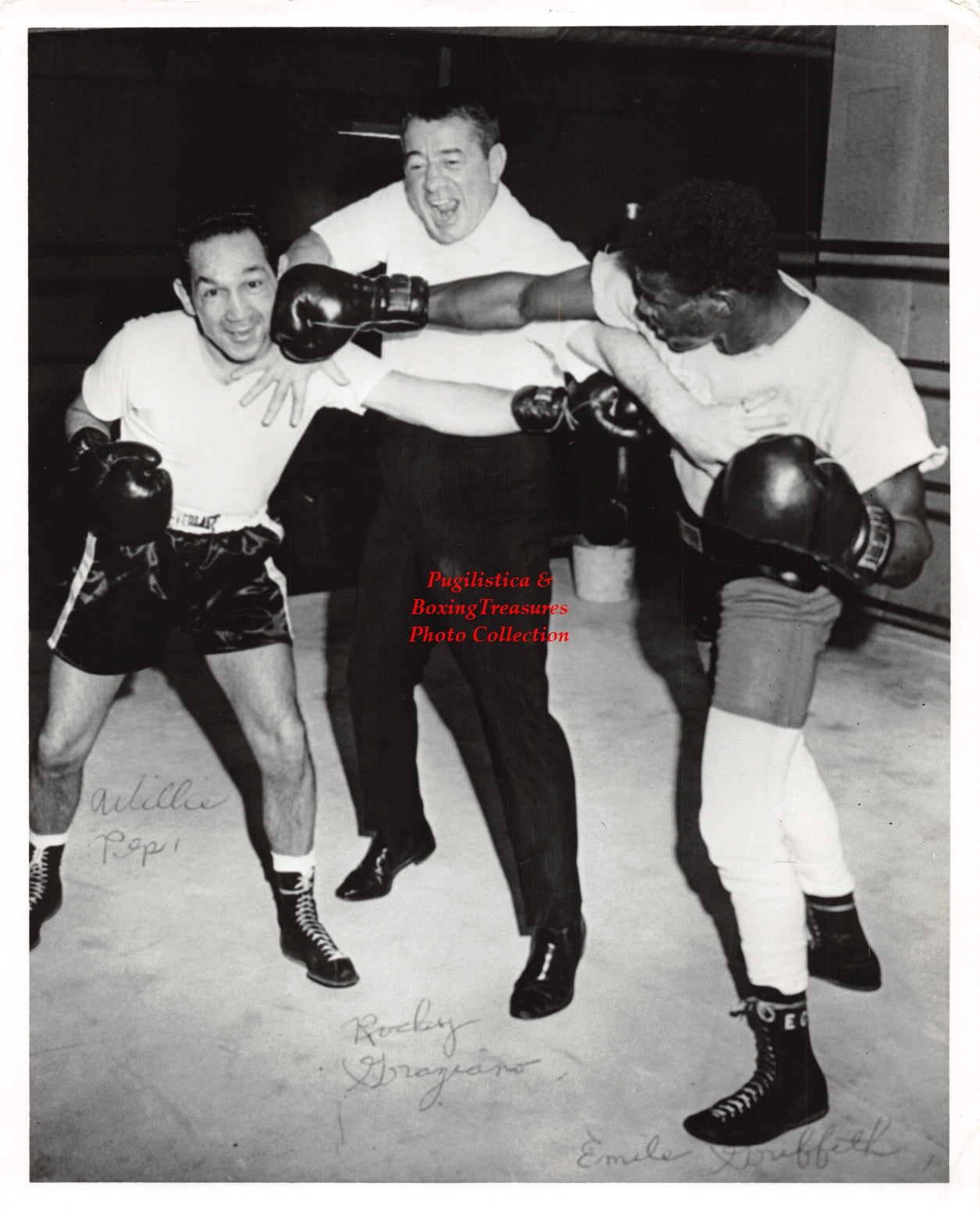 Boxing Photo #1233 - Willie Pep, Emile Griffith and Rocky Graziano