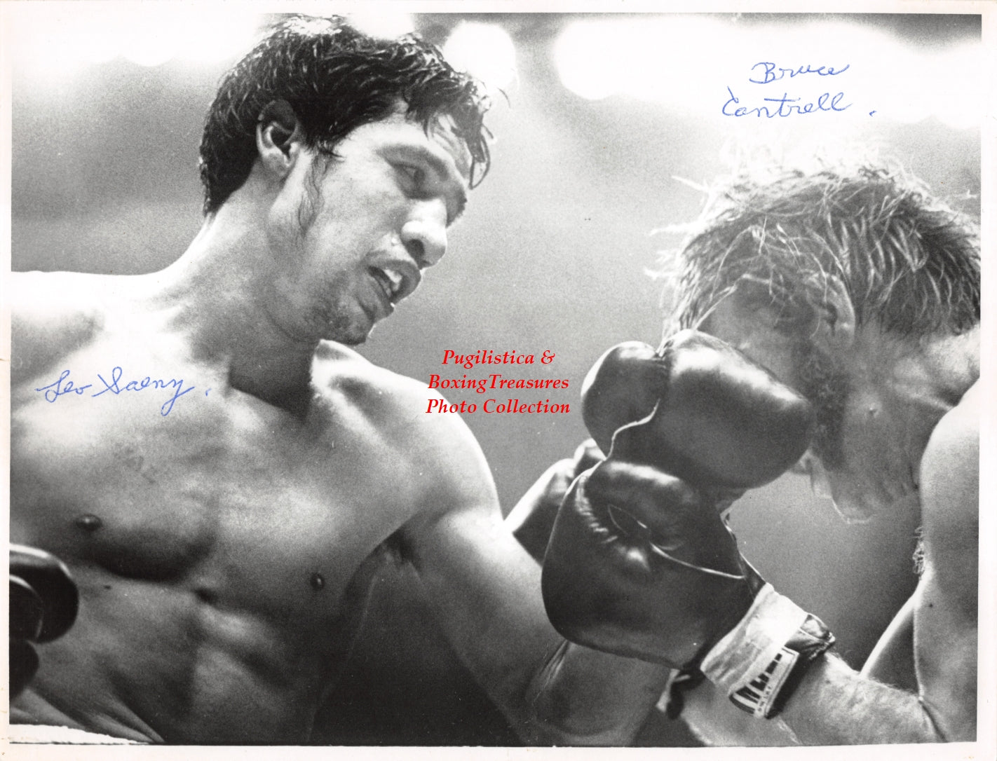 Boxing Photo #1234 - Leo Saenz vs. Bruce Cantrell - Maryland