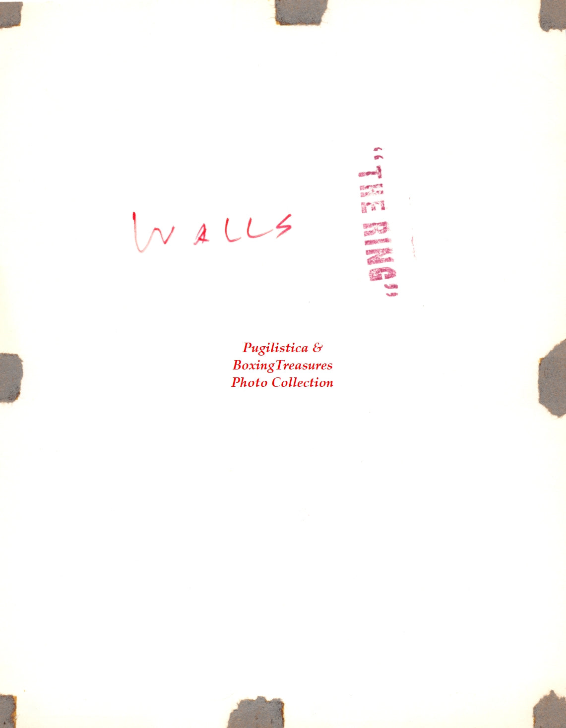 Boxing Photo #1236 - Earl Walls "The Hooded Terror"