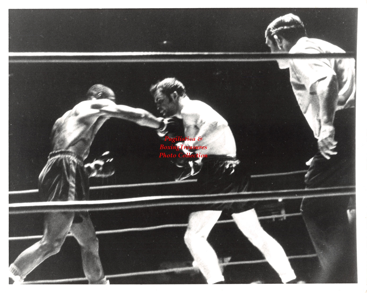 Boxing Photo #1237 - Johnny Griffin vs. "Irish" Billy Wagner - Cleveland, Ohio