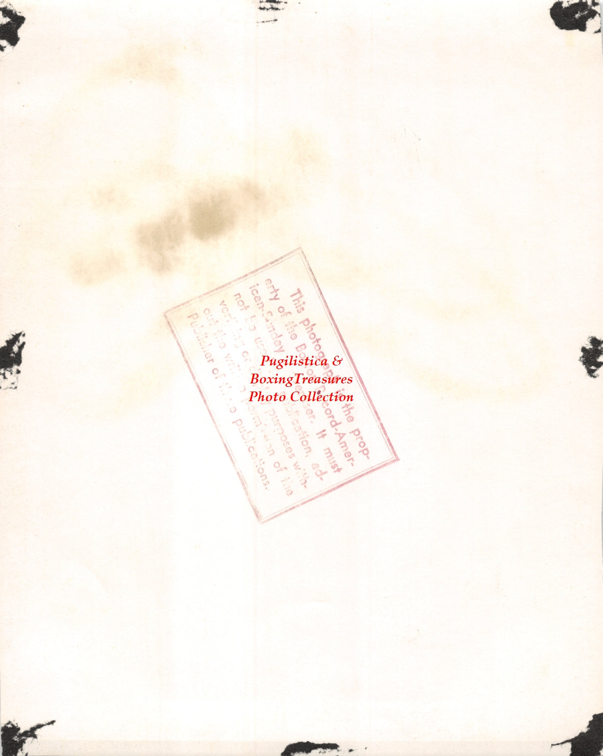 Boxing Photo #1245 - Joe Rindone