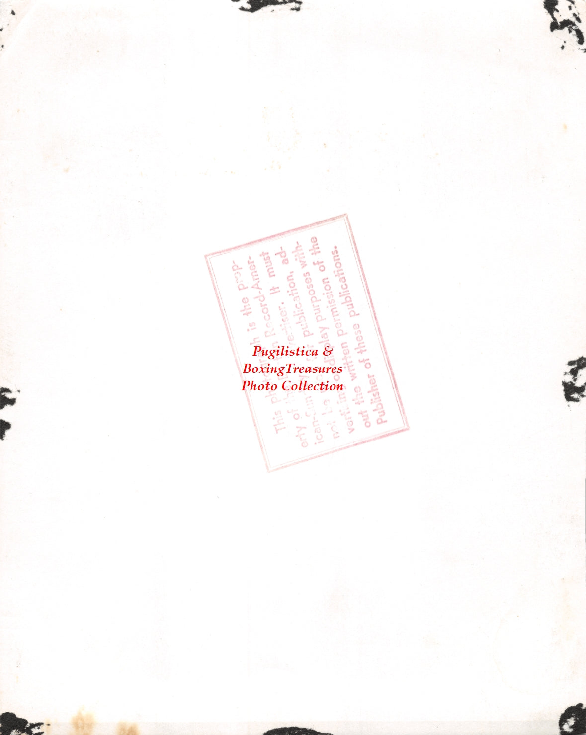 Boxing Photo #1246 - Joe Rindone