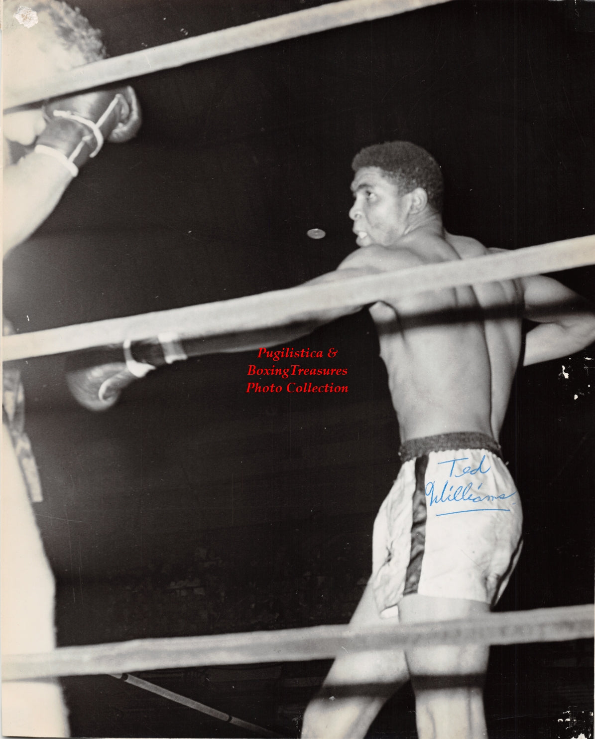 Boxing Photo #1249 - Ted Williams vs. Arnie Brower