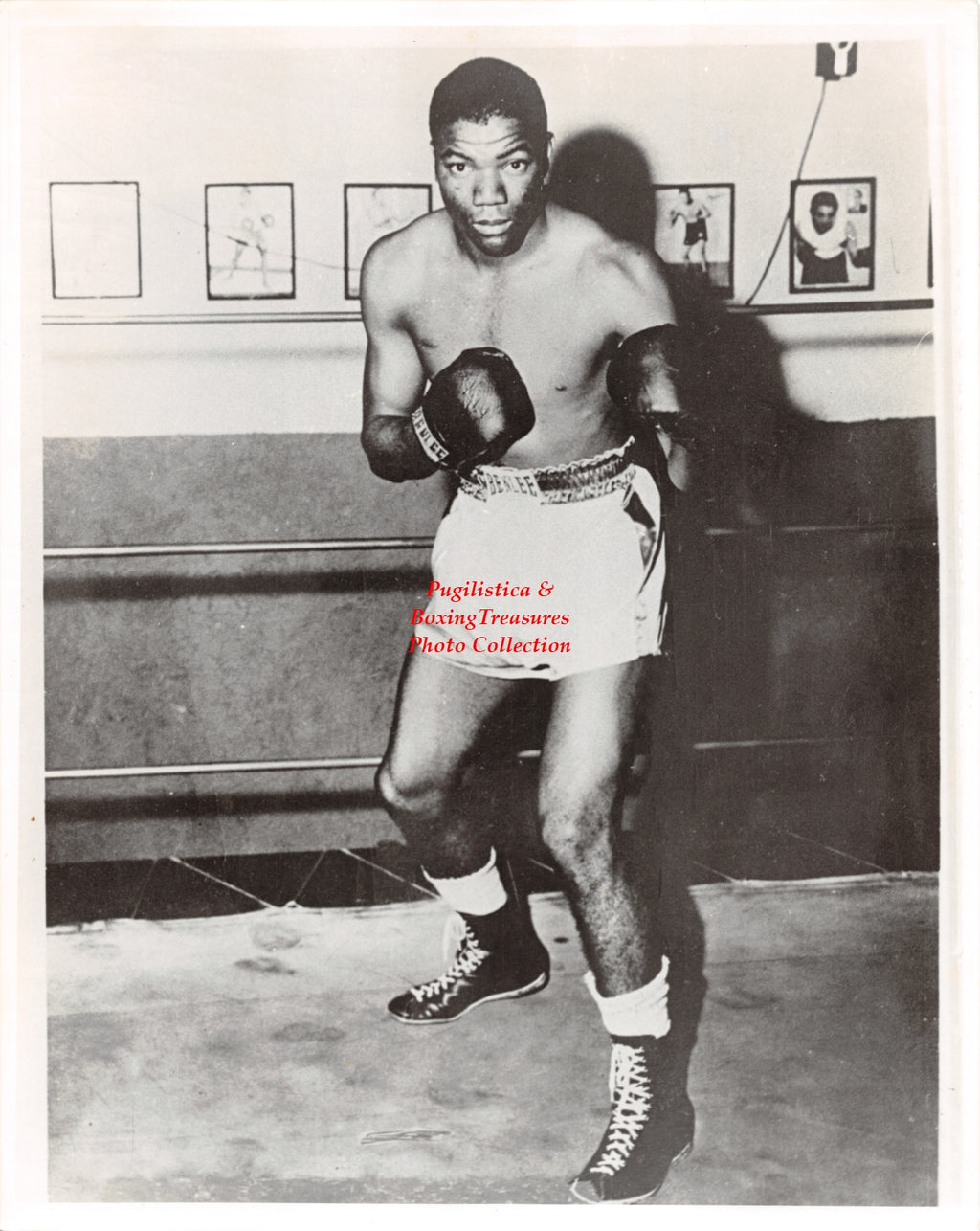 Boxing Photo #1250 - Cecil Shorts