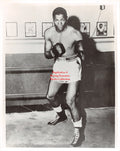 Boxing Photo #1250 - Cecil Shorts