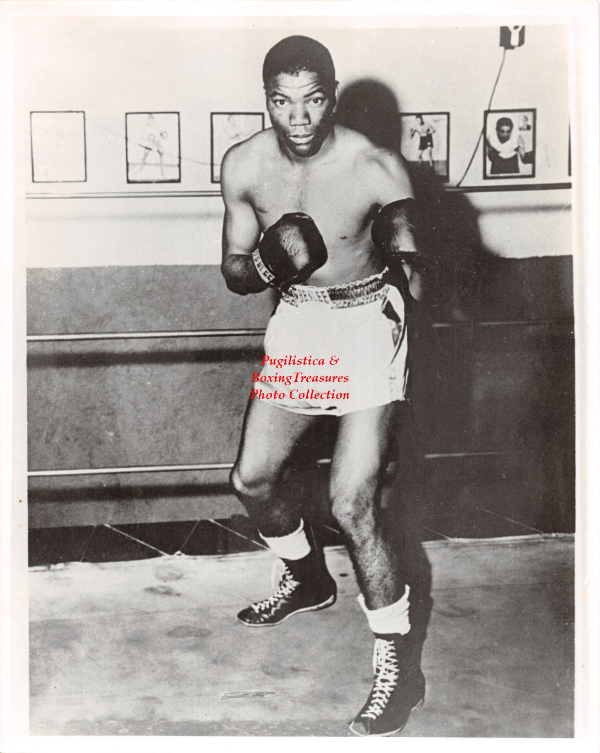 Boxing Photo #1250 - Cecil Shorts