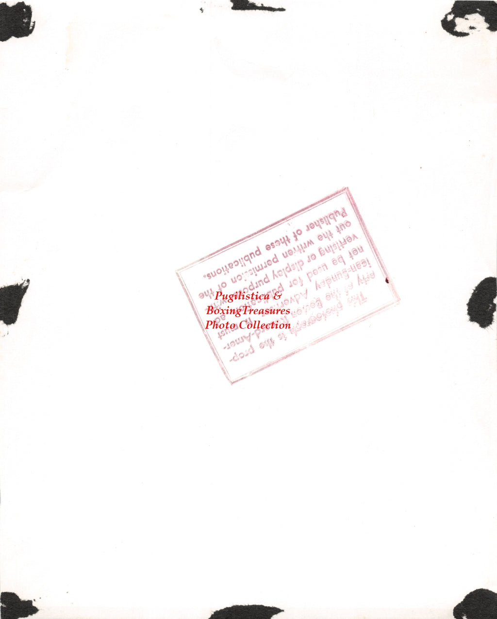 Boxing Photo #1251 - Willie Pep