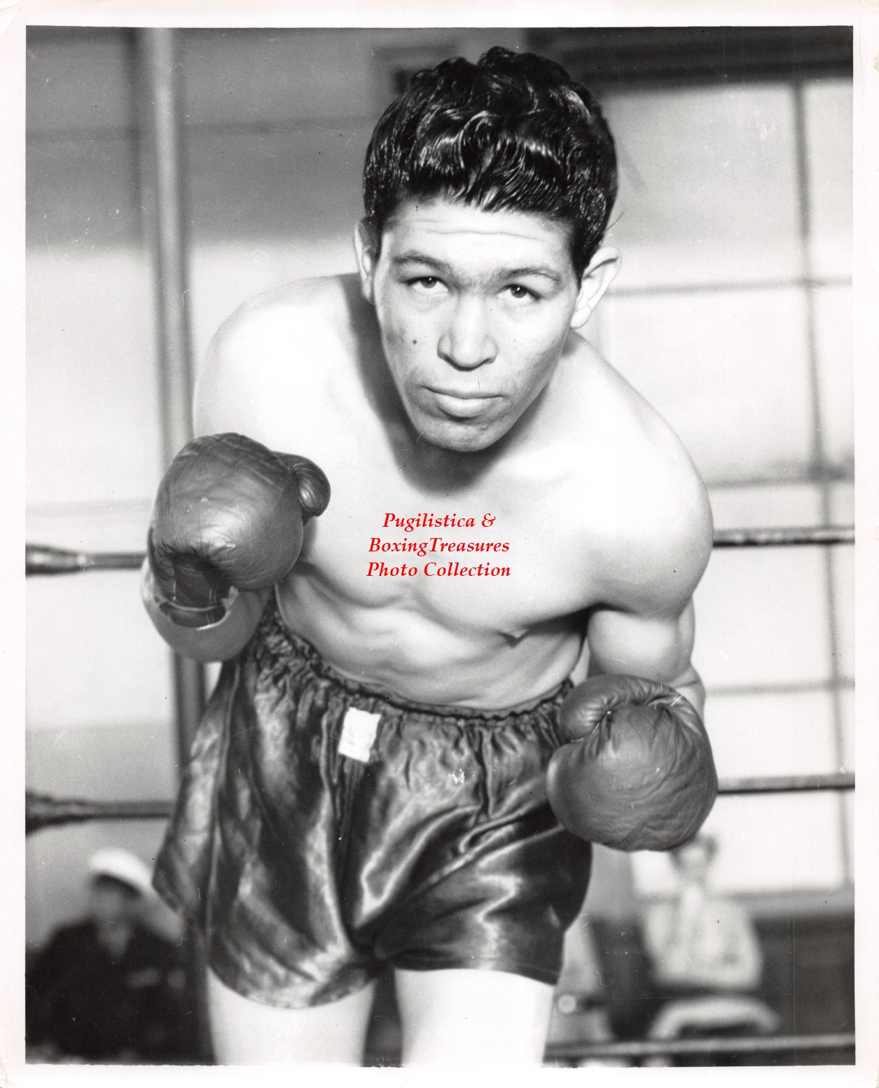 Boxing Photo #1258 - Frankie Angustain
