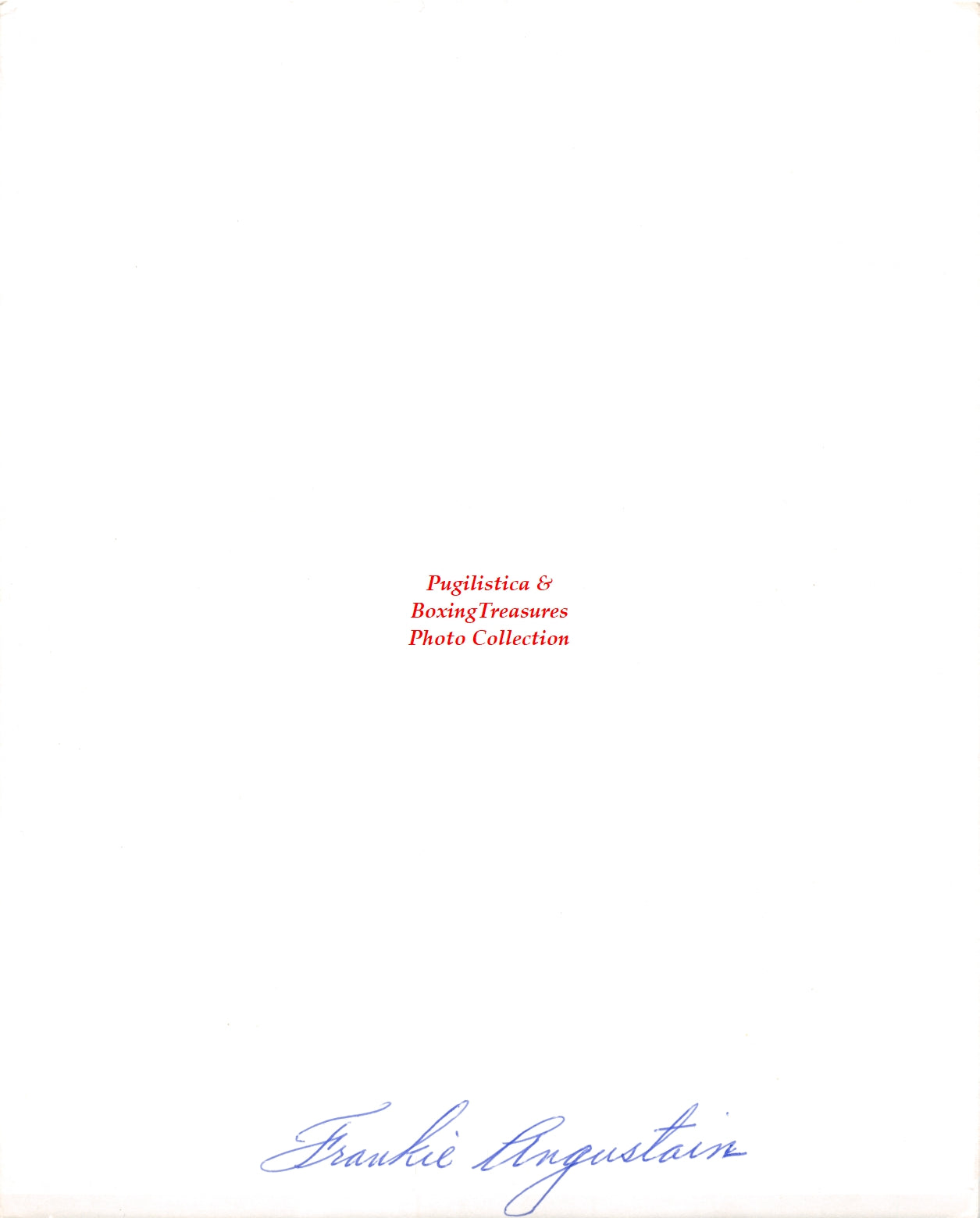 Boxing Photo #1258 - Frankie Angustain