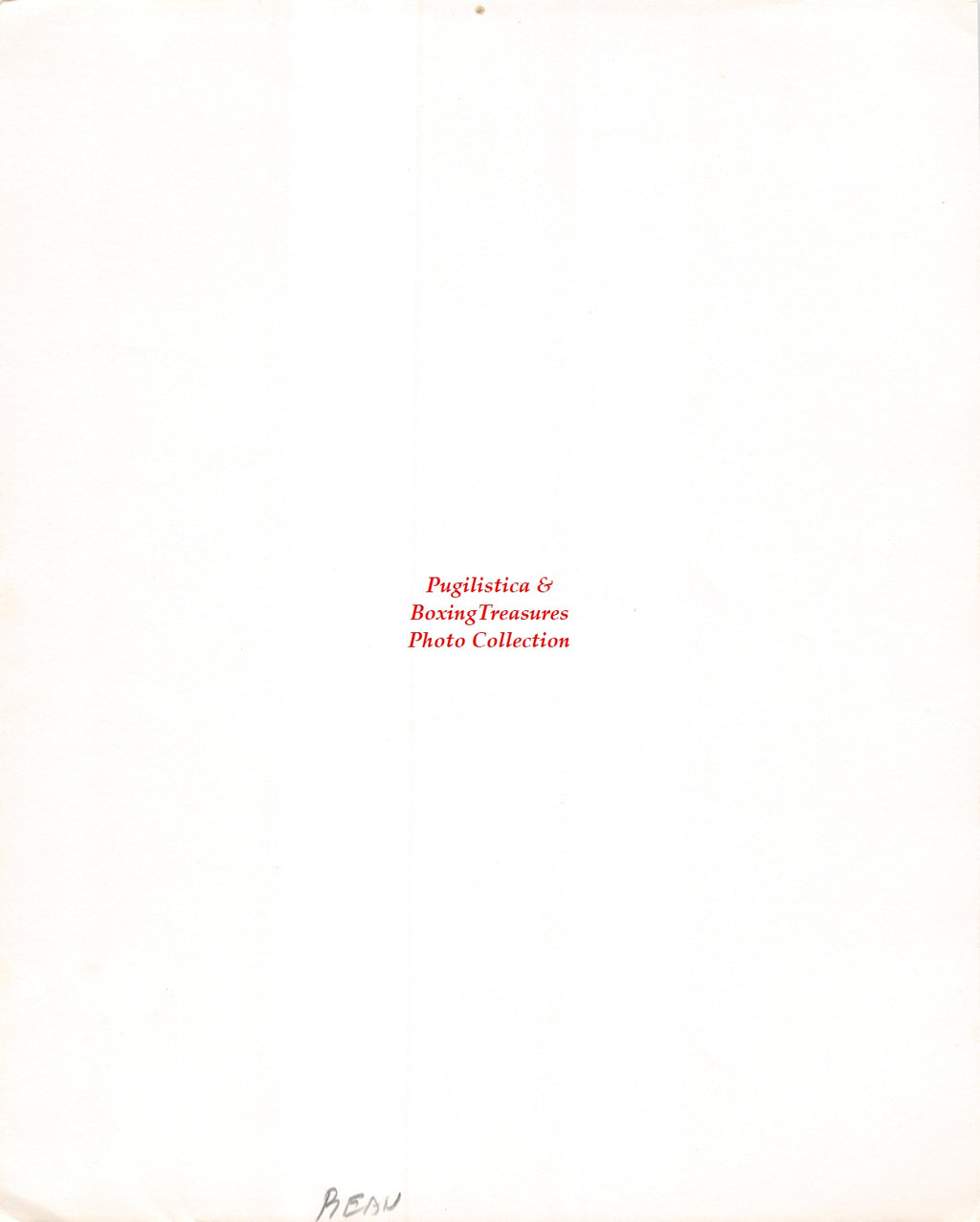 Boxing Photo #1281- Willie Bean