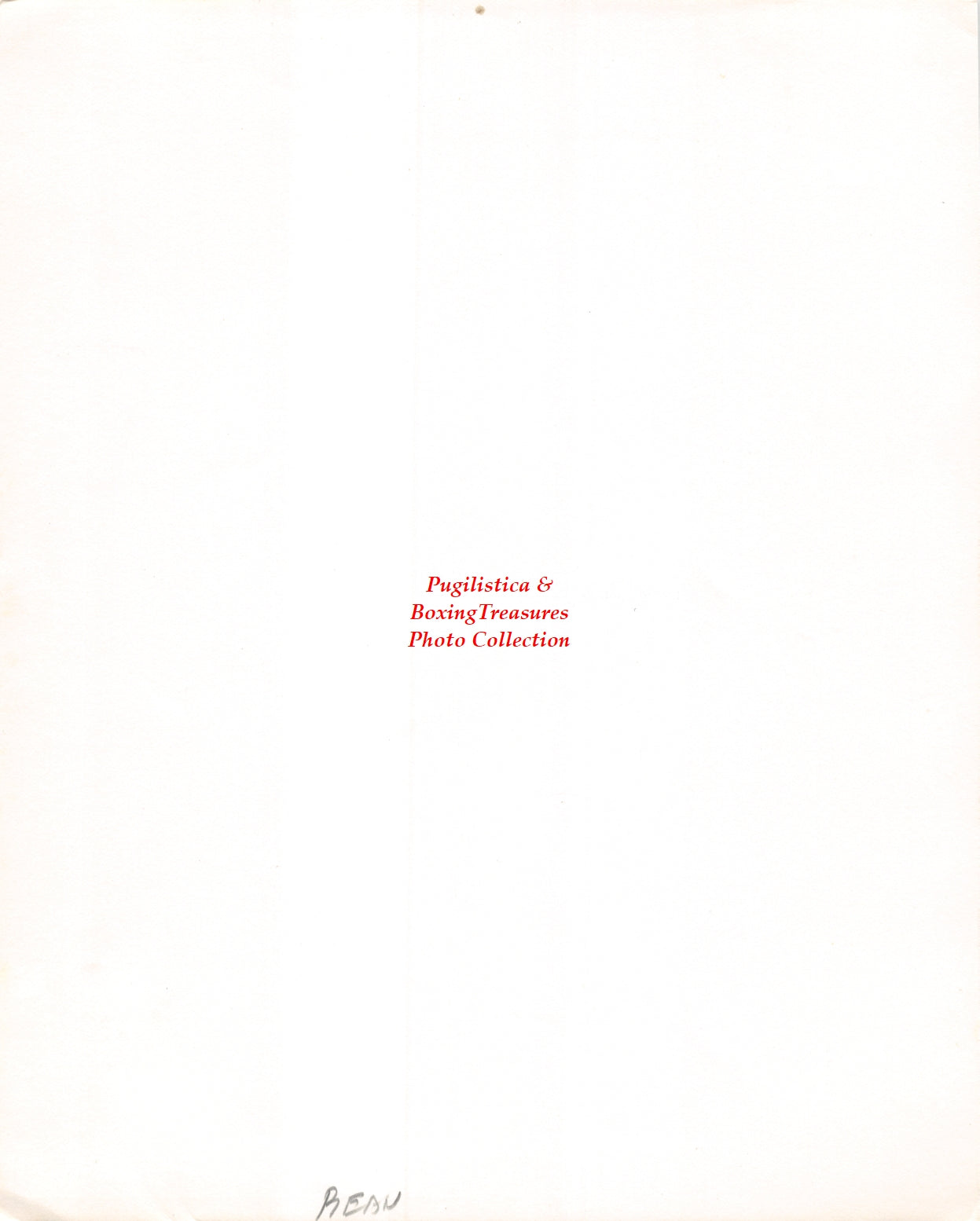 Boxing Photo #1281- Willie Bean