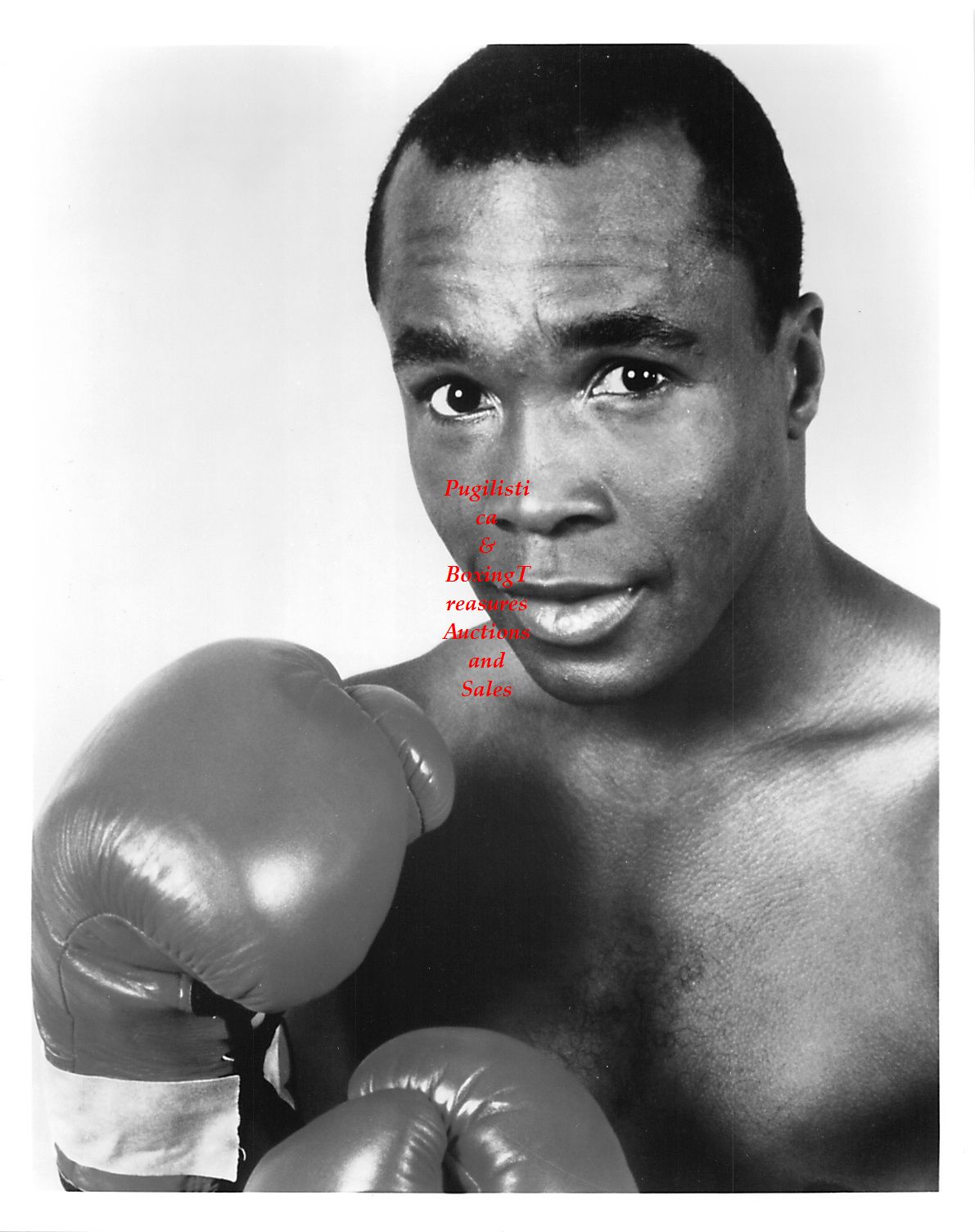 Boxing Photo #130 - Sugar Ray Leonard