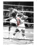 Boxing Photo #131 - Sugar Ray Leonard vs. Thomas Hearns