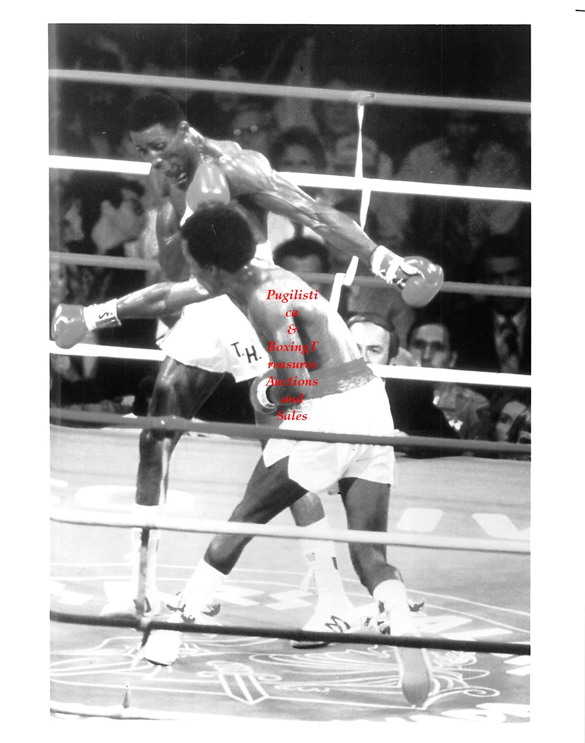 Boxing Photo #131 - Sugar Ray Leonard vs. Thomas Hearns