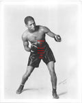 Boxing Photo #132 - William "Gorilla" Jones