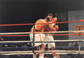 Boxing Photo #1343 - Larry Holmes vs. Ray Mercer 1992 Vintage Snapshot Photograph