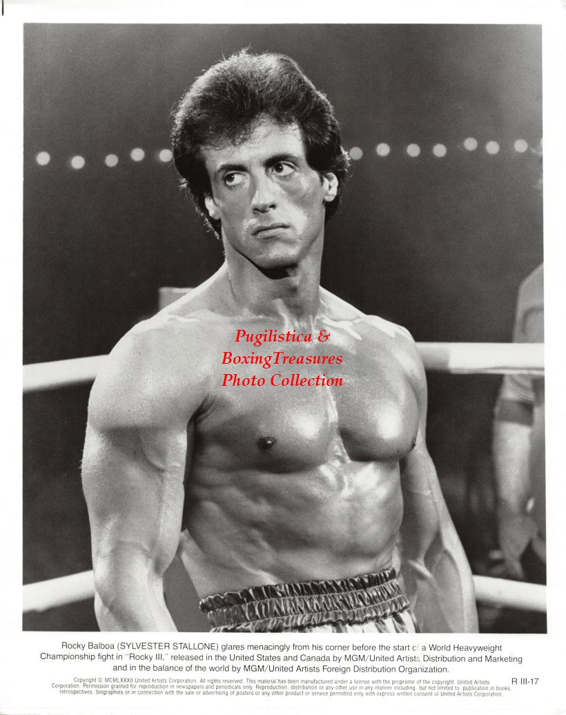 Boxing Photo #1392 - Rocky III Sylvester Stallone - Vintage1982 Publicity Still
